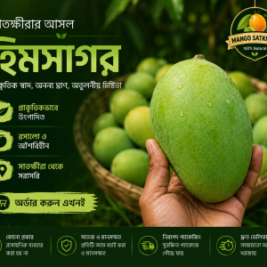২০ কেজি প্রিমিয়াম কোয়ালিটি সাতক্ষীরার হিমসাগর আম